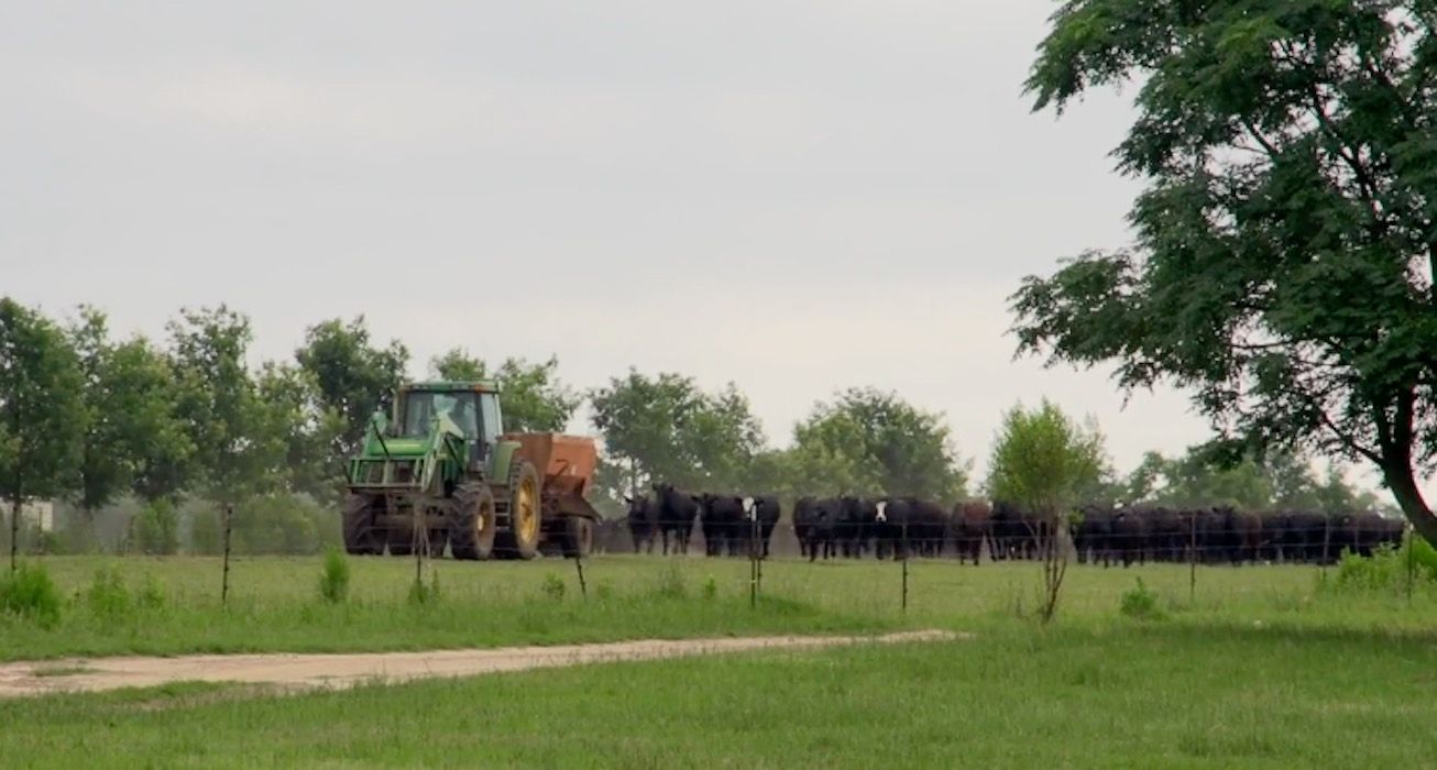 Healing the Land with One Hundred Thousand Beating Hearts