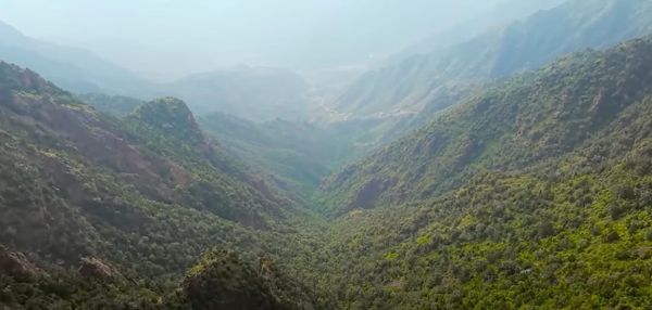 Enhancing the Ecosystem of Soudah Peaks