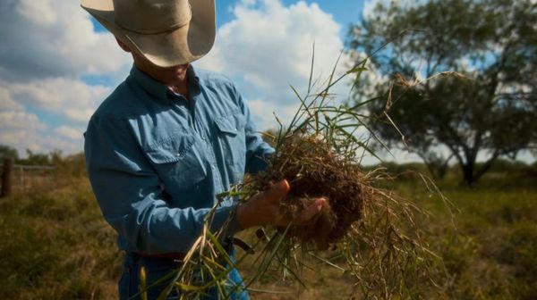 Ranchers Are Falling Into Debt and Selling Land. Carbon Credits Are a Way to Keep Farming