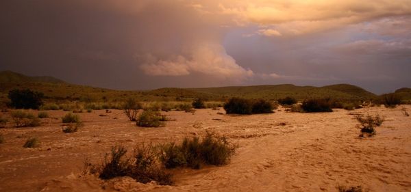 circle_ranch_west_texas_rain_feature