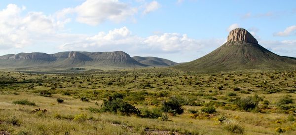 Eco Profits - Whose Money Harms The Environment?