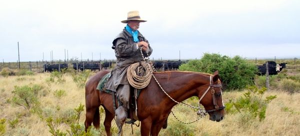 Circle Ranch - Low-Stress Loose-Herding
