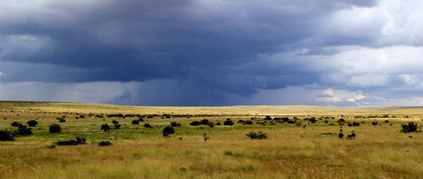 circle-ranch-out-here-video-feature