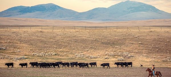 the_new_west_texas