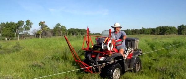 circle_ranch_cattle_penning_feature