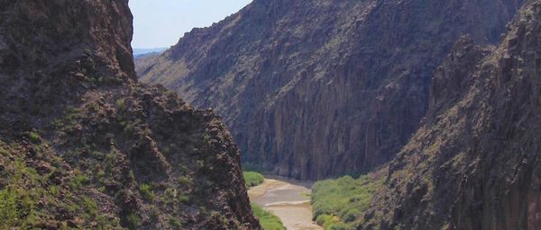 National Bison Day 2016