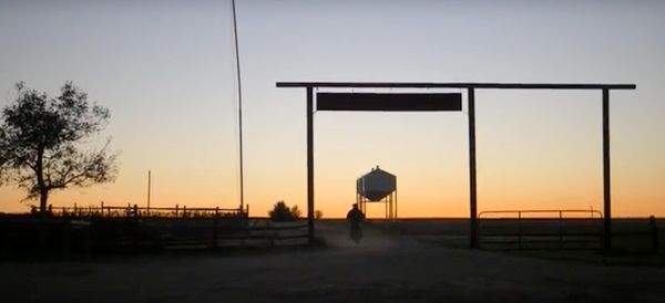 art_of_the_cattle_move