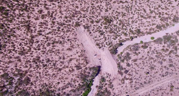 Gulleys for Grassland Restoration #5: Upper Pennel Canyon at Circle Ranch