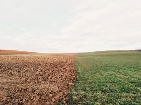 soil_restoration_west_texas