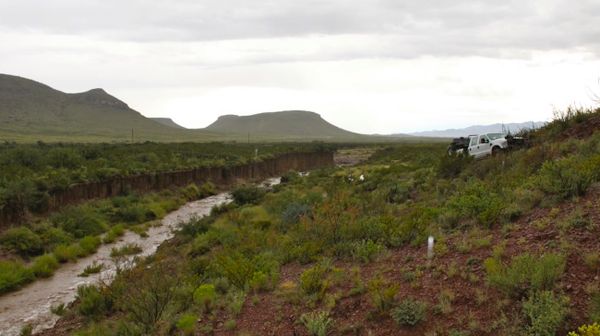 gulley_restoration_desert_grasslands