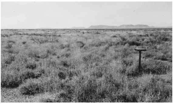 circle_ranch_mule_deer_3