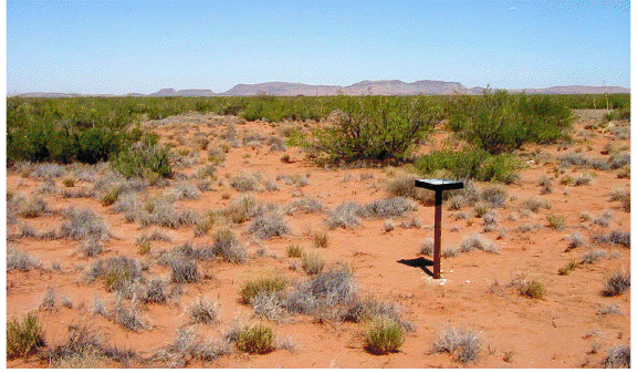 circle_ranch_mule_deer_4