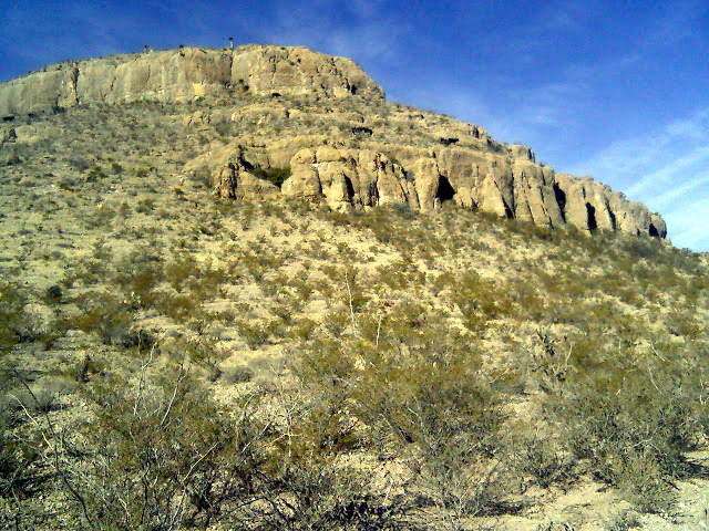circle_ranch_bighorn_14