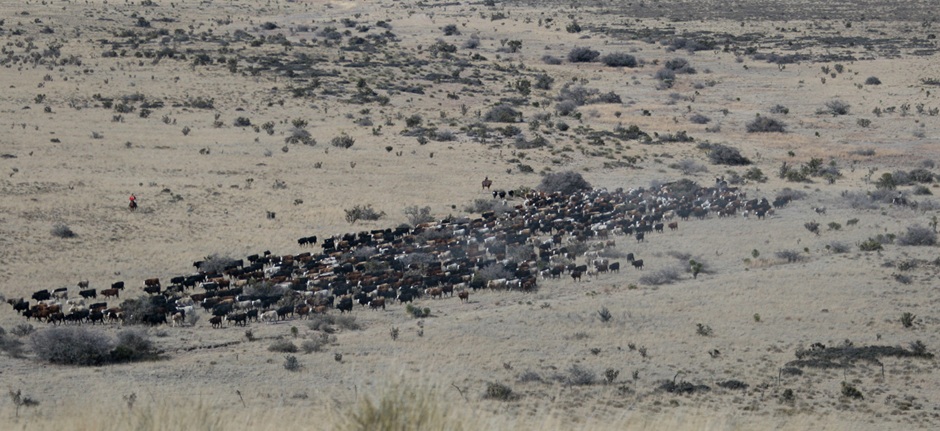 circle_ranch_multipaddock_june2013