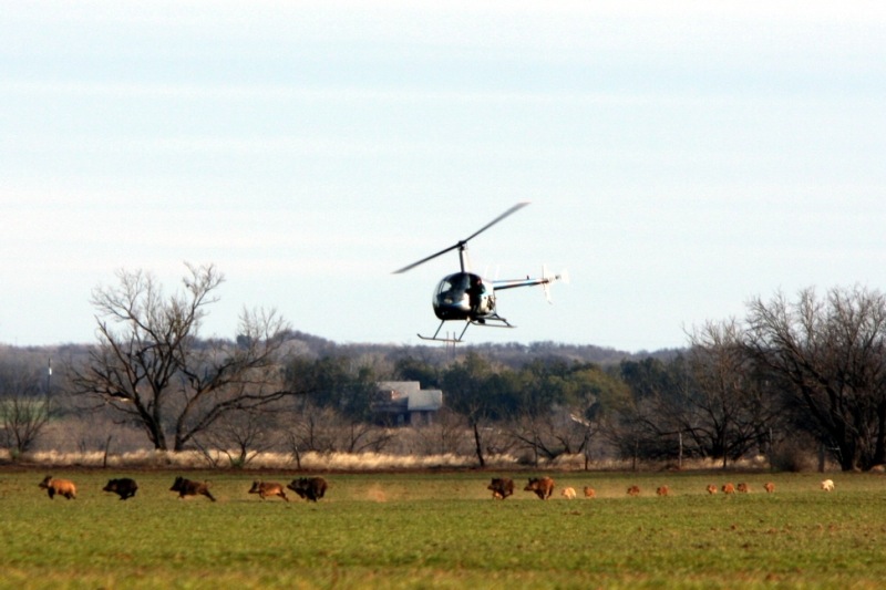heli-2