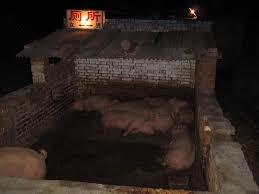 images-3