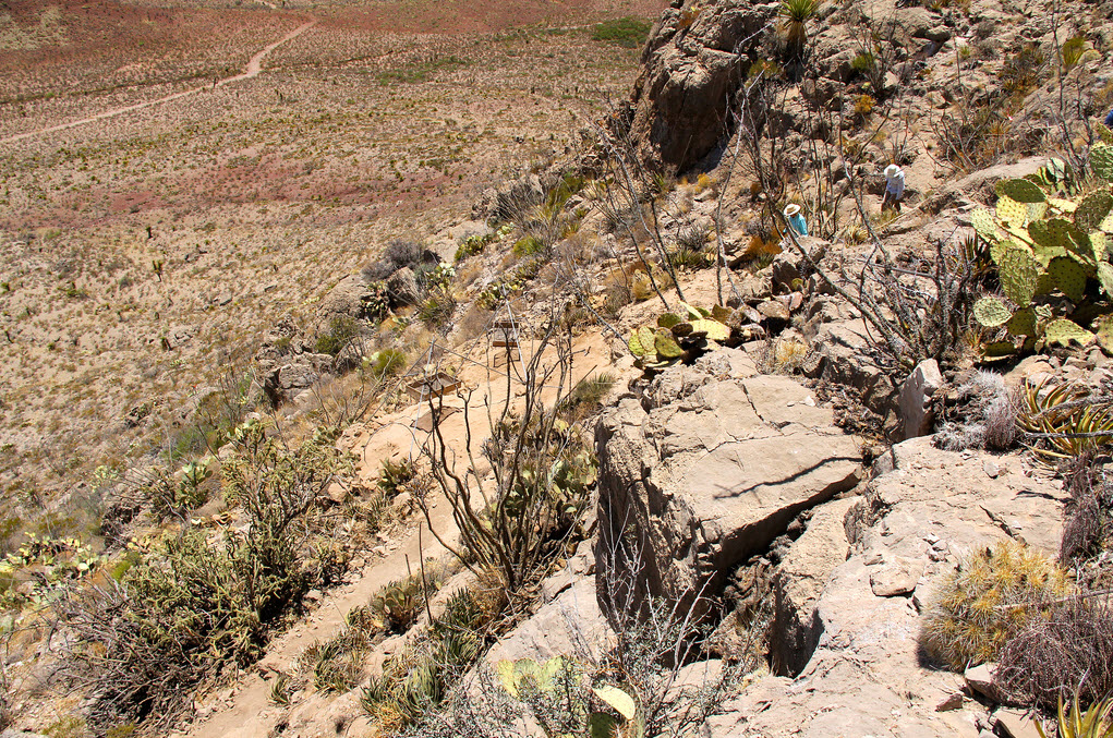 west_texas_desert_grasslands_circle_ranch