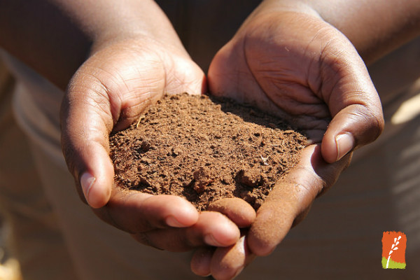 gnmrartqifmsegwqrlj9