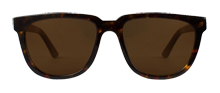 Tortoise_acetate_copy