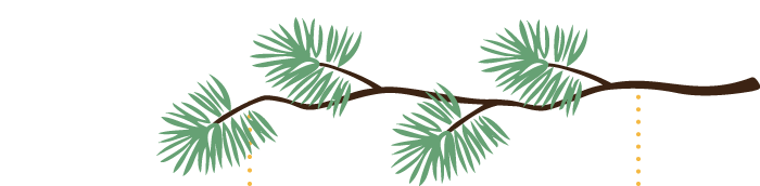 Fasten_branch