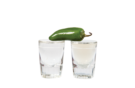 Thehousemadepickleback