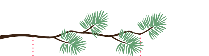 Accessorize_branch