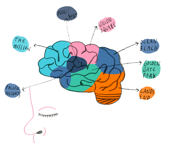 Brain_3
