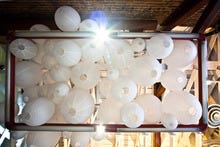 Bolditalic-environment-0080_small