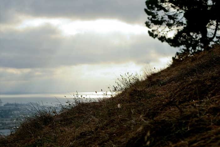 Bernal2