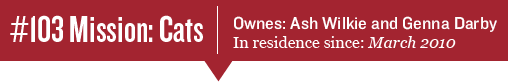 Missioncats