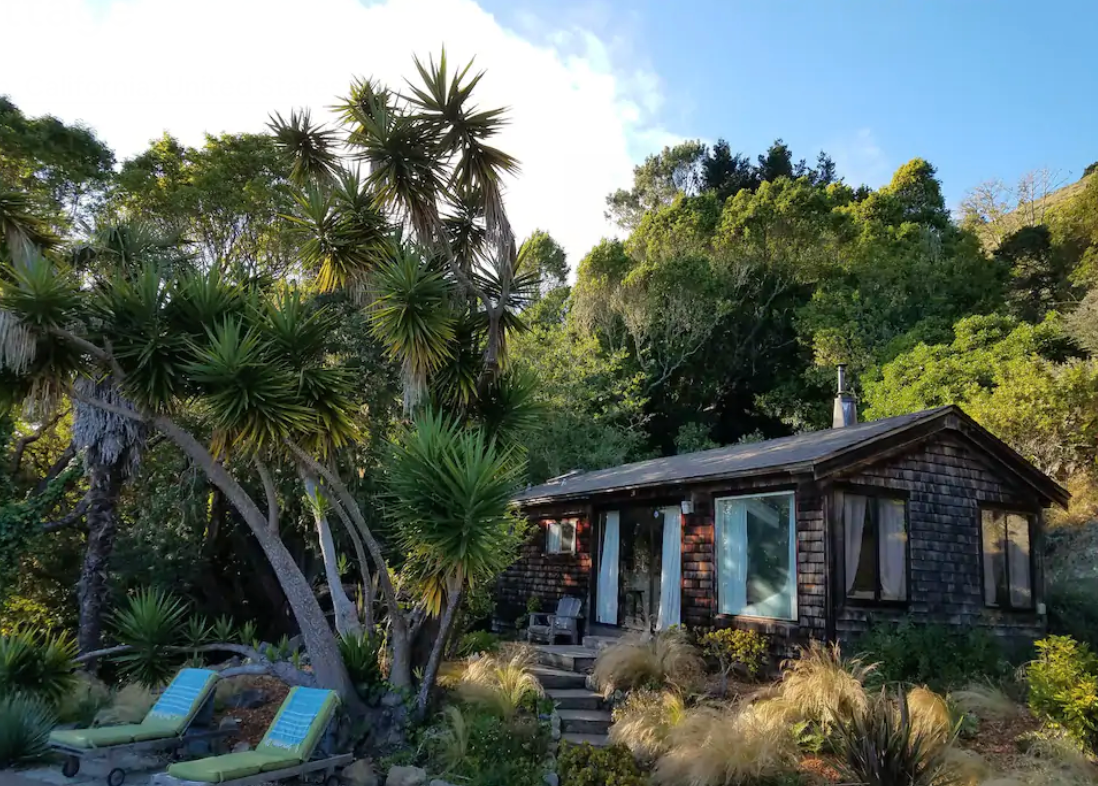 A small cottage covered in wood shingles and surrounded by deciduous and palm trees.