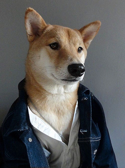 Denimjacket500