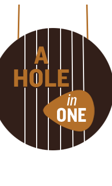Hole-rev