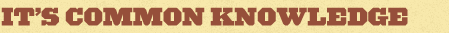 Bi-beer_itscommonknowledge_082513