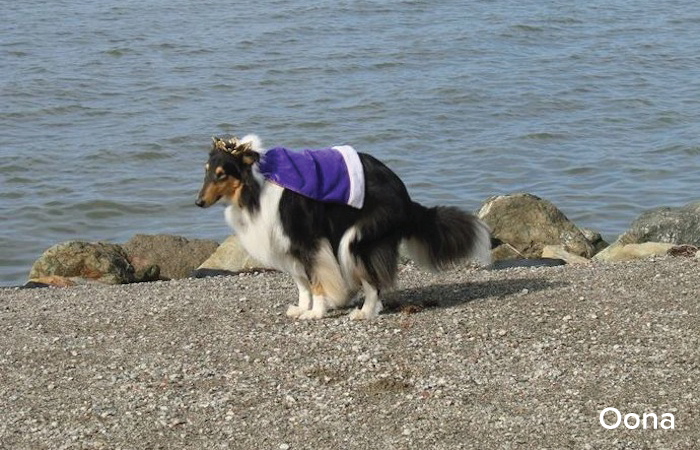 Oona