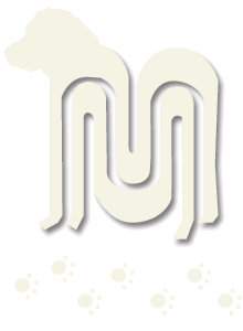 Newdog