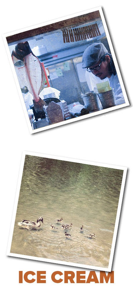Hangingfish
