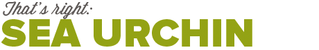 Seaurchin