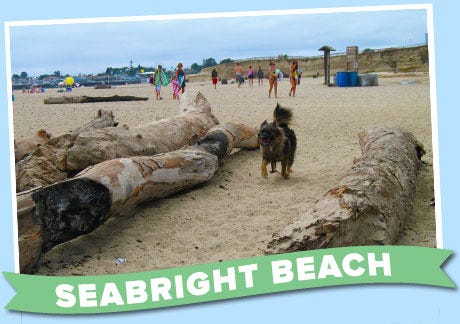 Seabright