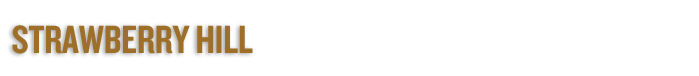 Strawberry_brown