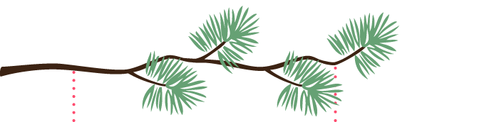 Bundle_branch_
