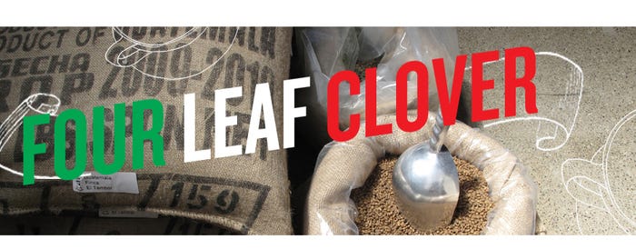 Four_leaf_clover_final