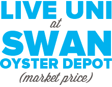 Swangraphic