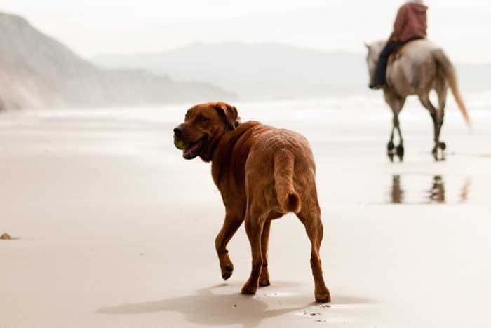 Funston2
