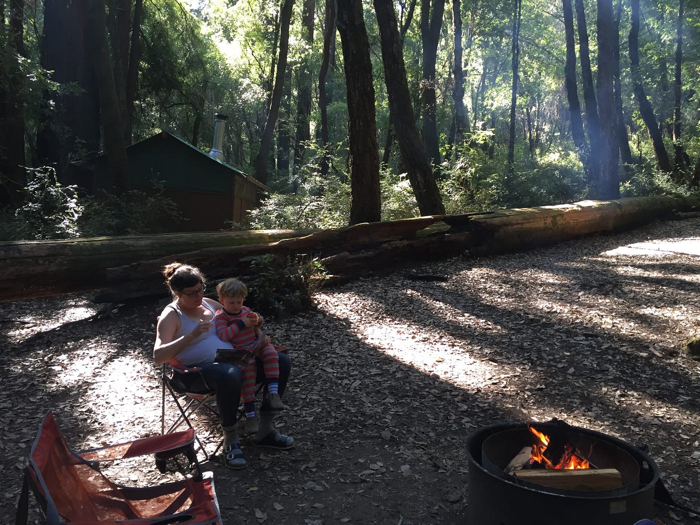 A person and a child sitting in a folding chair in front of a small fire pit in a redwood forest.