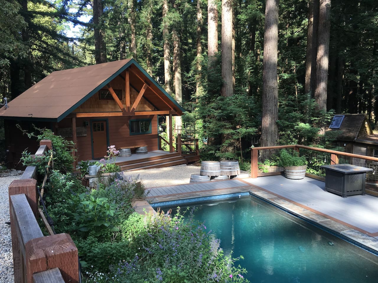 A rectangular pool with a small wooden building in the background, surrounded by trees and bathed in dappled light.