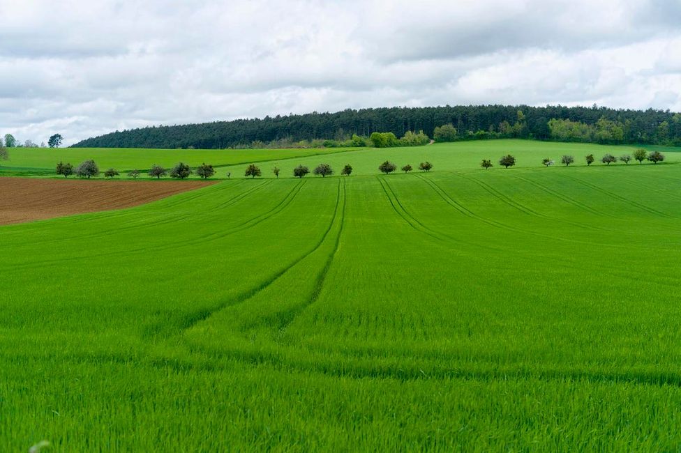 Go Ahead — Eat Genetically Modified Food. It’s Not Bad For You.