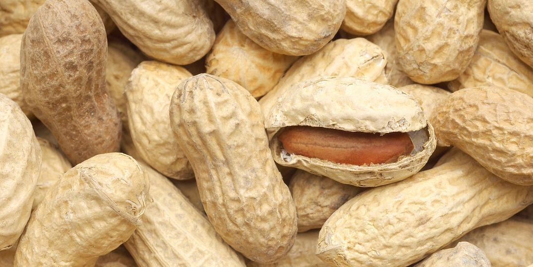 RIP KK Cafe, Long Live Peanut Milk