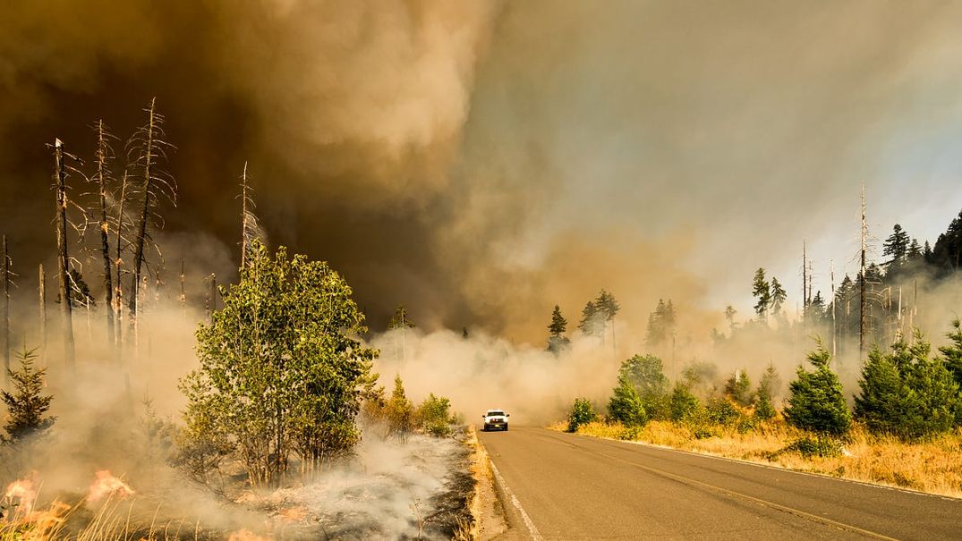 How to Evacuate From a Wildfire — A Comprehensive Checklist
