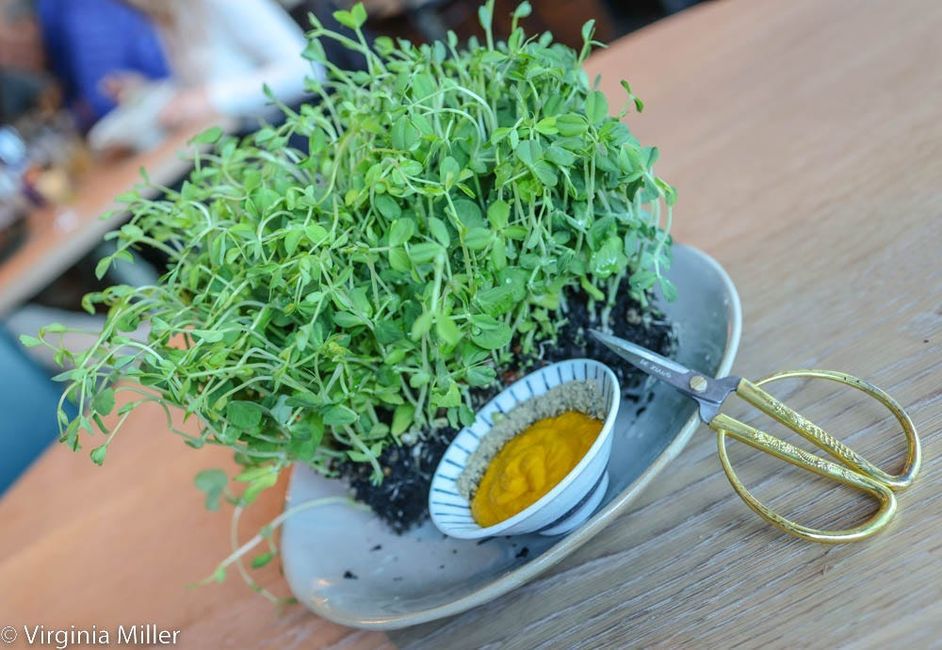 In sleepy Mill Valley, a surprisingly quality land-to-sea newcomer: Coho